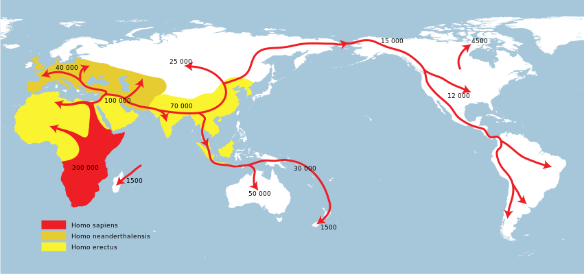 太古の人類 (Homo sapiens) の大陸移動 <br>(出アフリカ大陸)