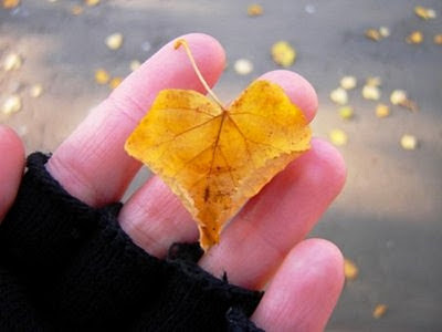 imagen mano+amor+otoño+desamor