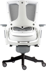 Circuit Chair - Rear View Circuit Chair - Rear View