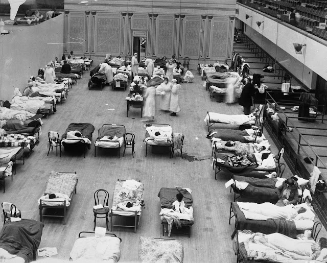 1918 Spanish flu virus