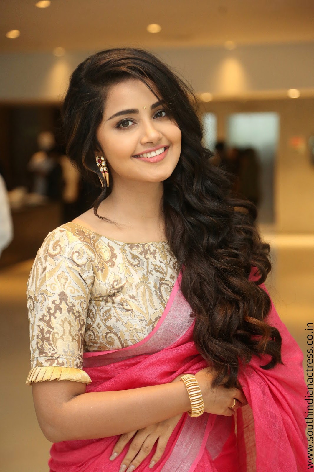 Anupama Parameswaran at Vunnadi Okate Zindagi Movie Thanks Meet South