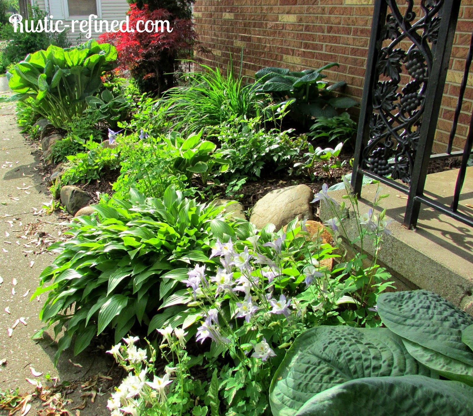 Late Spring Garden Tour 2014 | Rustic & Refined