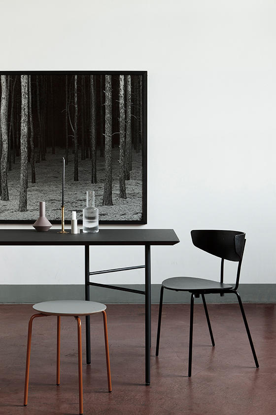 Frank Potter Organizational Biology Other Thoughts