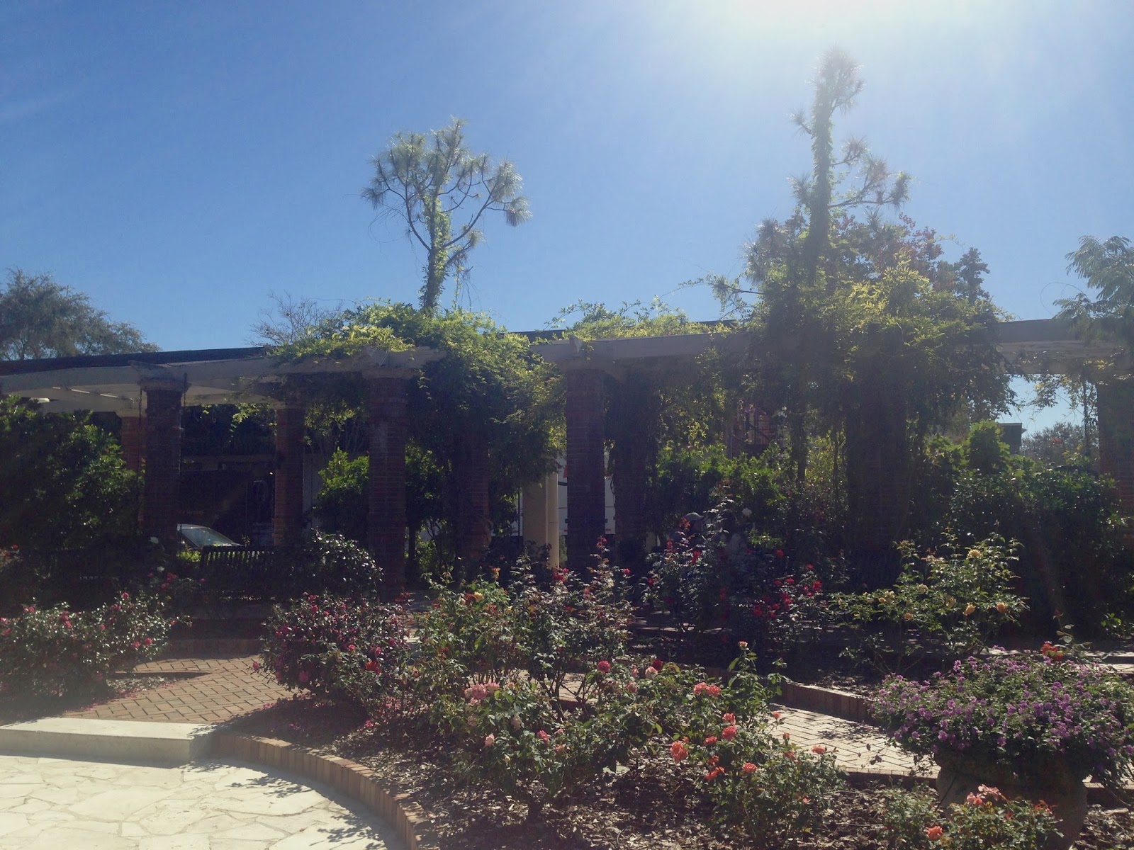 Amy's Creative Pursuits Fall Flowers in Winter Park, Florida