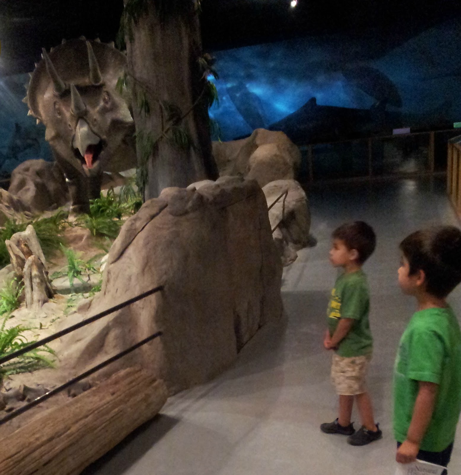 List 97+ Pictures las vegas natural history museum photos Stunning