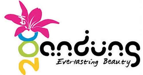 Banjir Event di HUT Kota Bandung Ke-202 Tahun 2012 - CUMI KRITING