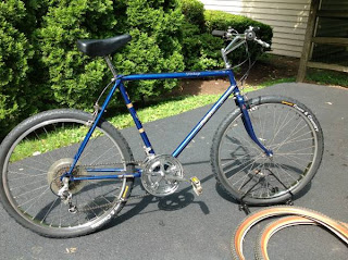 raleigh portage mountain bike