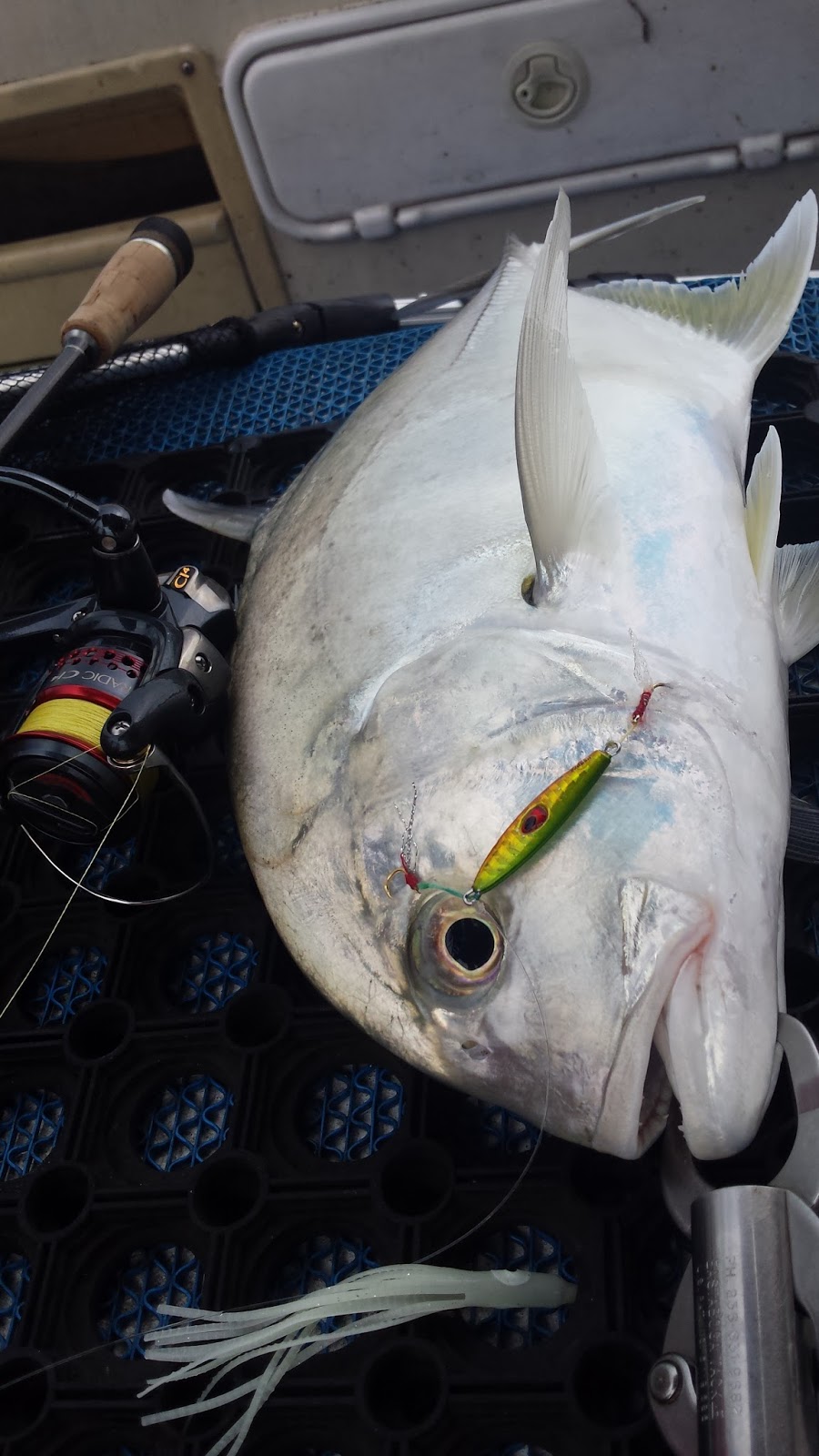 Micro jigging The micro jigging blog Tips For Micro Jigging Setup