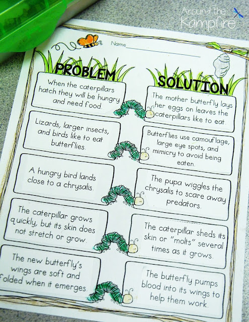 Butterfly life cycle problem-solution activity