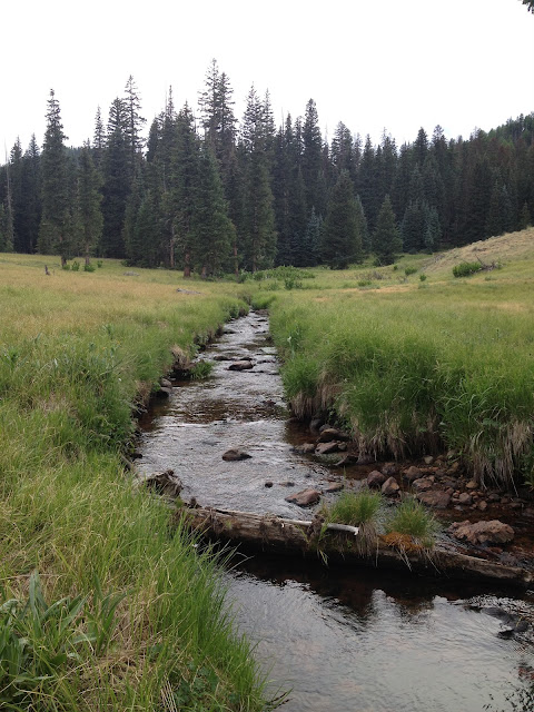 mt baldy creek through meadow