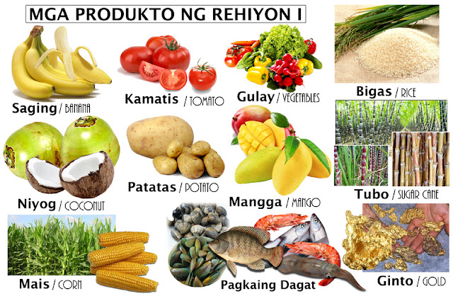 Mga Produkto Ng Rehiyon: Rehiyon 1