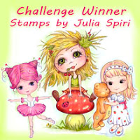 Julia Spiri Challenge 14 Winner