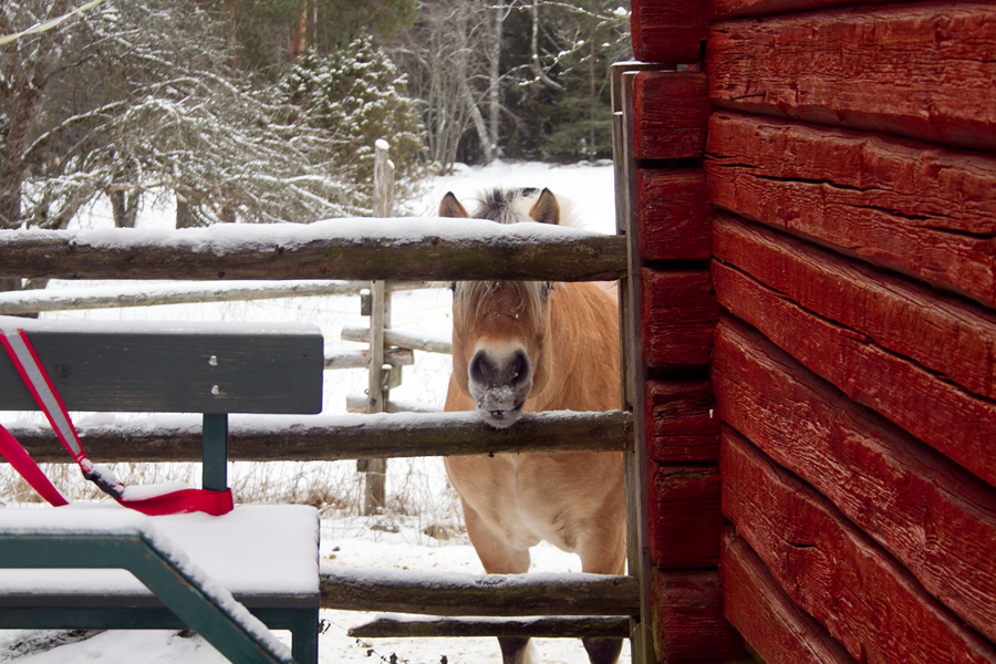treffit kuopio treffit suomi24 f treffit kuopio treffit suomi24 f