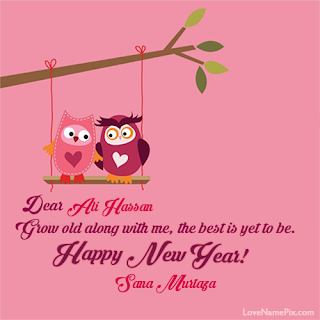happy new year wishes with names lovers