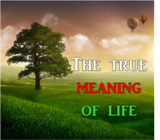 The true meaning of life