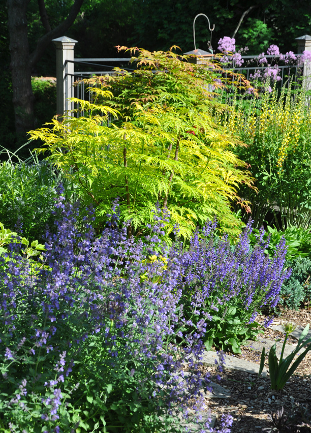 Three Dogs in a Garden Pretty Views of Ellen Carr�s Garden