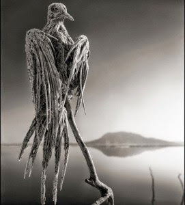 Danau neraka