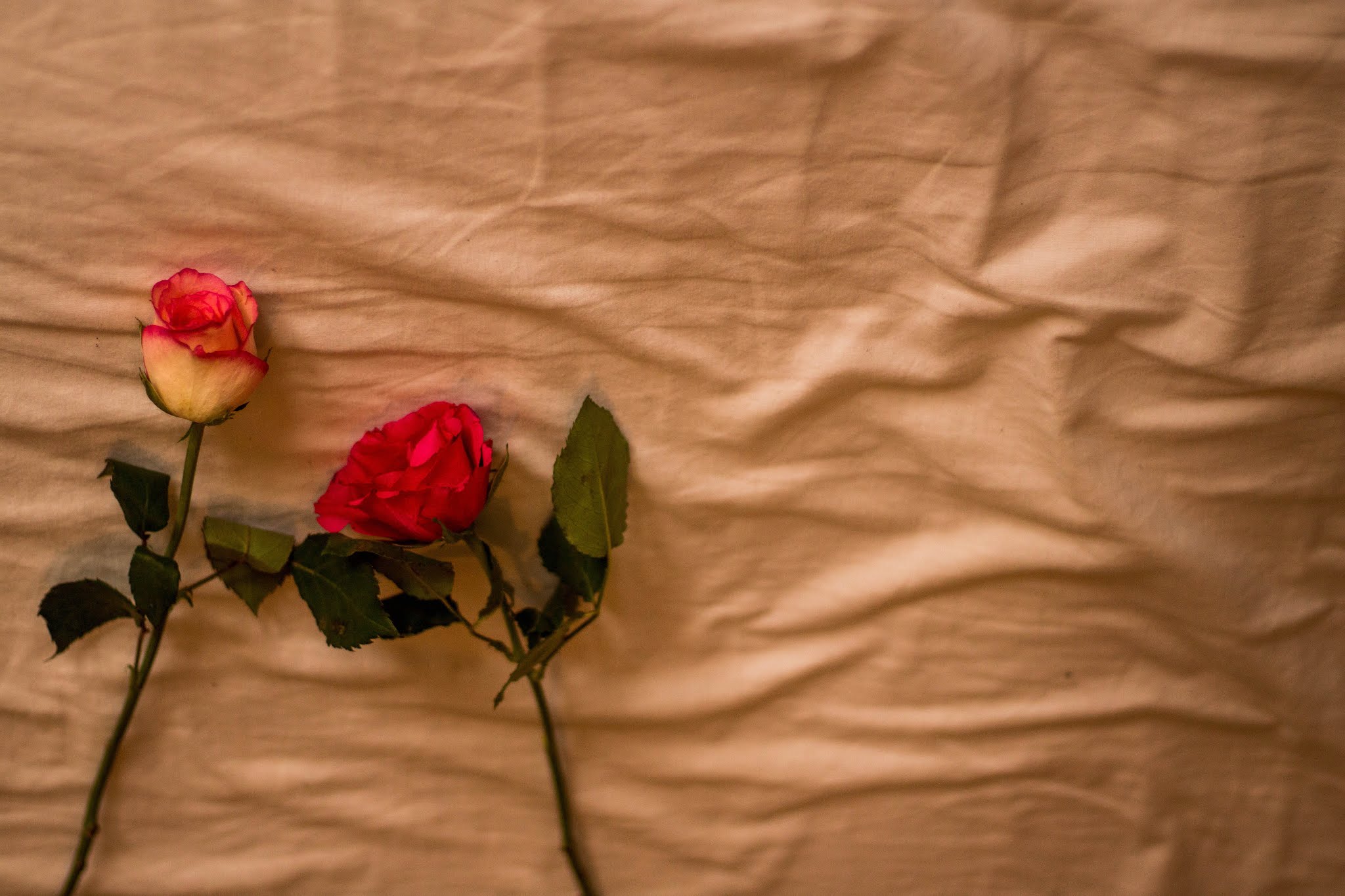 Roses on bedsheets - an outlook on love, valentines day blog post