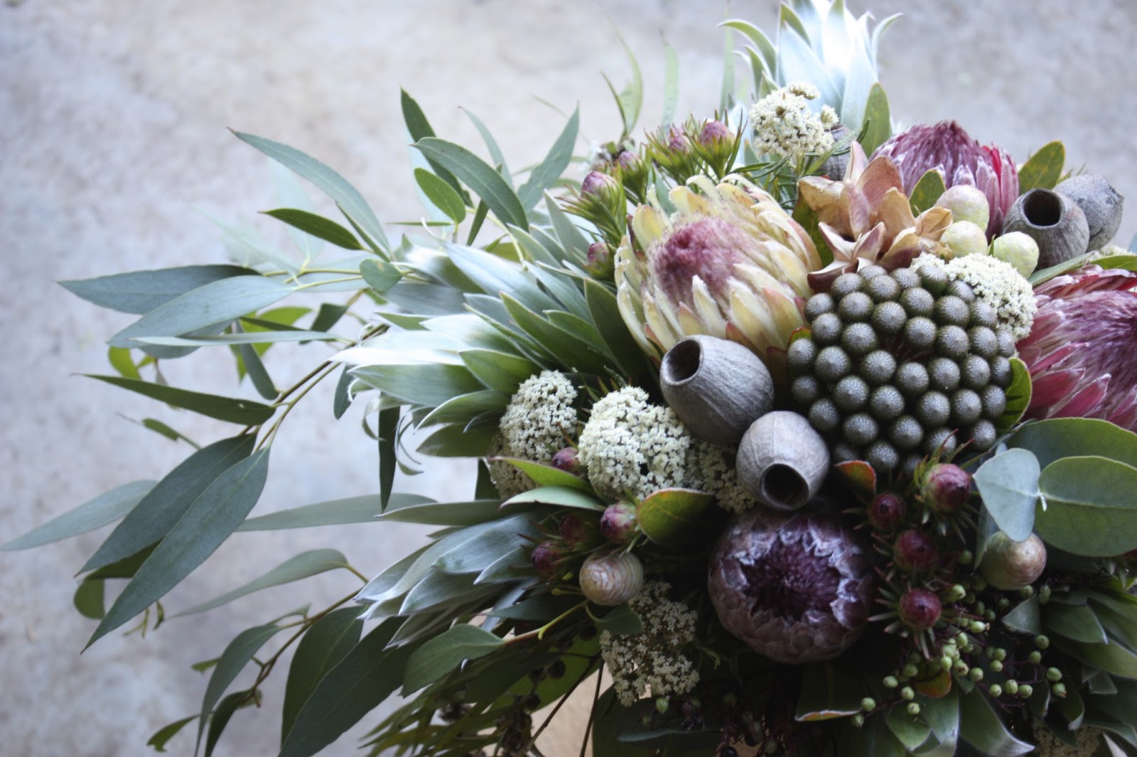 In The Garden Now Variety S The Spice Of Shoreline Area News