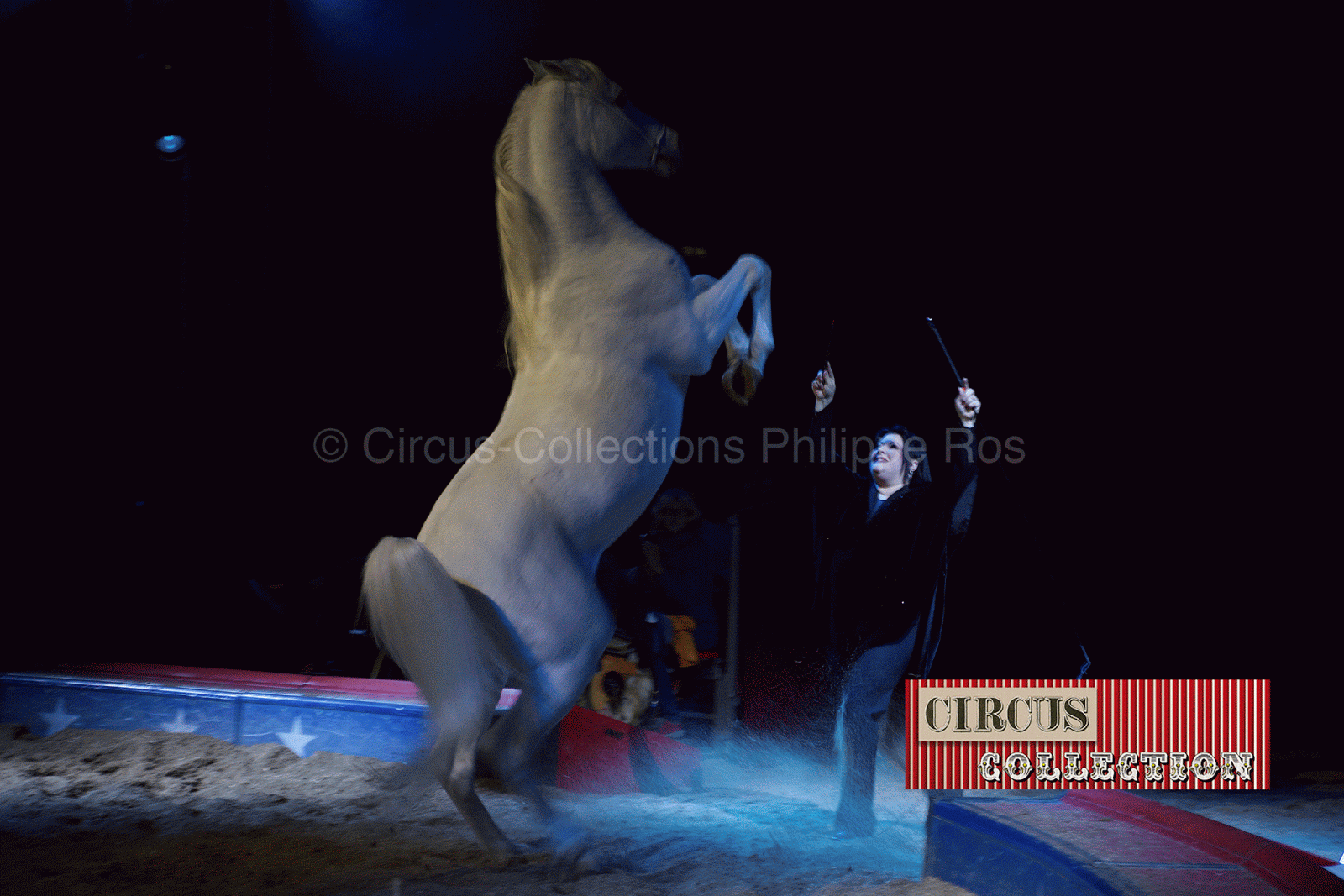 Geraldine Knie et un cheval blanc cambré