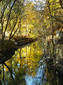 Taylor Creek Park Autumn foliage reflection by garden muses-not another Toronto gardening blog