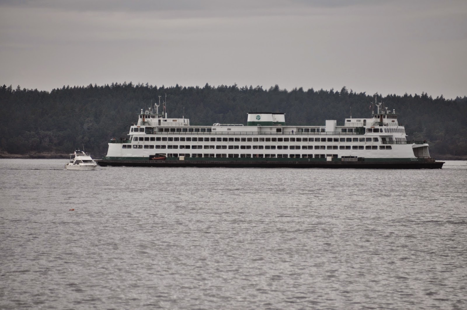 And Willie Said Hanging in Blind Bay 8/31/2014