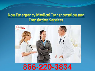 Transport & Translation services