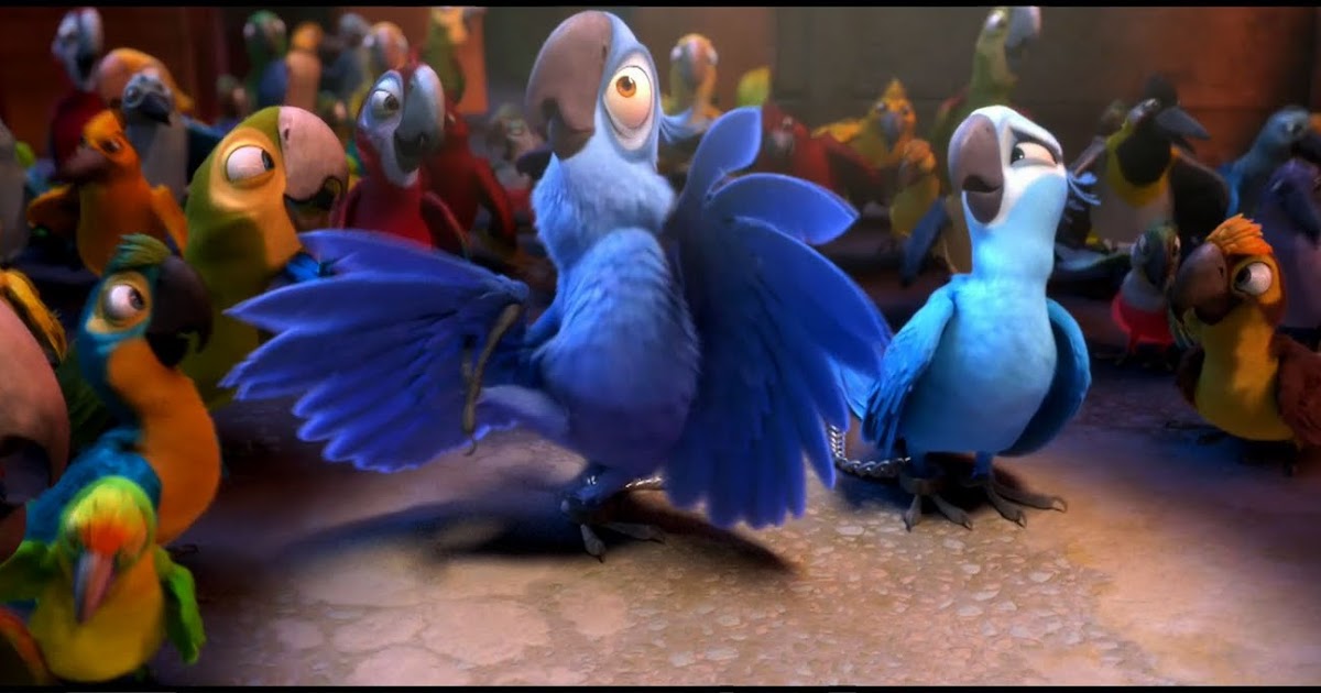 Let Me Take You To Rio Blu's Arrival PHOTOBYFRIDA: Let me take you to rio, rio, fly’o the ocean like an eagle