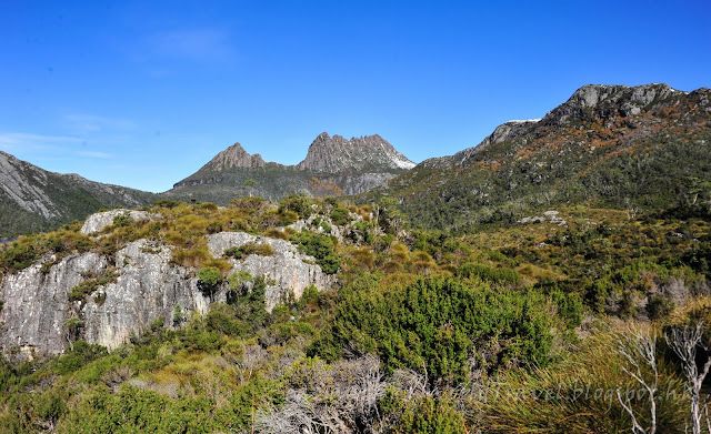 搖籃山, Cradle Mountain