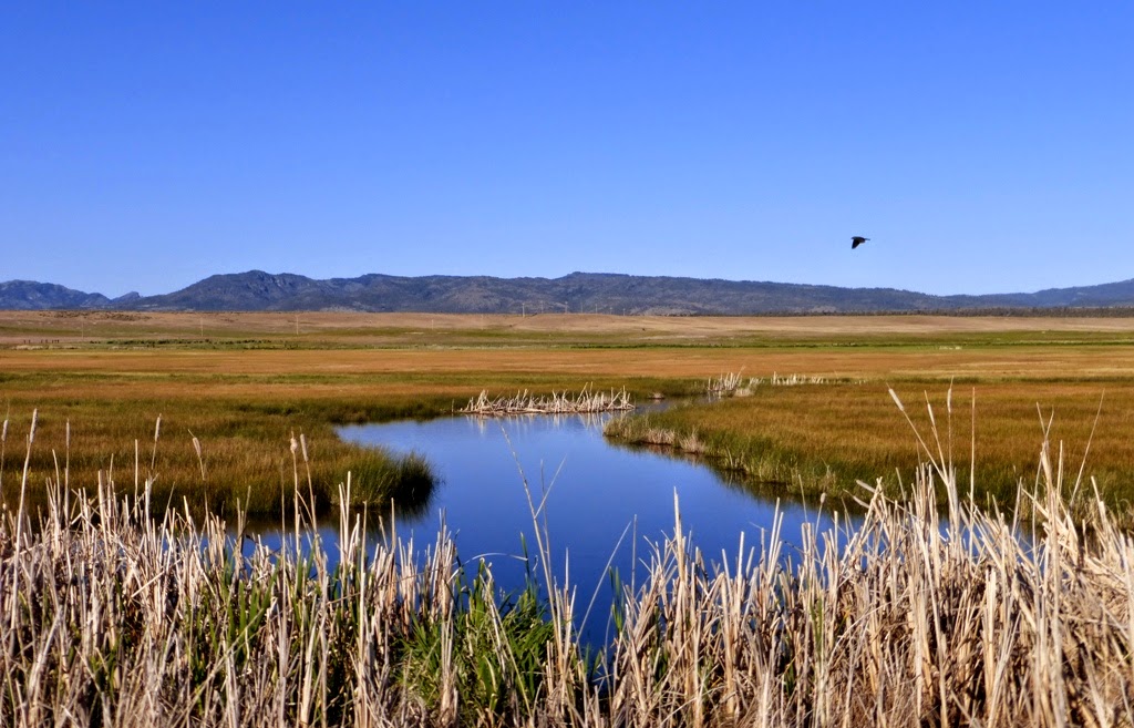 Metamorphosis Road Modoc National Wildlife Refuge, A High Desert Oasis
