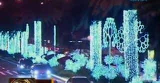 "Heart Trees" Christmas Lights at Ayala Avenue, Makati
