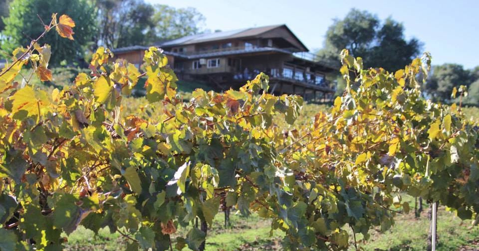 Team Lund Real Estate