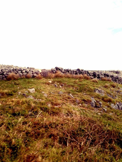 La région du Burren et les falaises de Moher Irlande