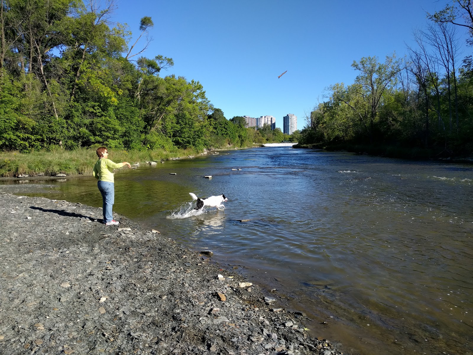 Backroom Casting Couch Stephanie Porn Videos Pornhubcom