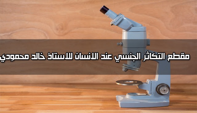 التكاثر الجنسي عند الانسان للسنة الاولى متوسط الجيل الثاني استاذ خالد محمودي