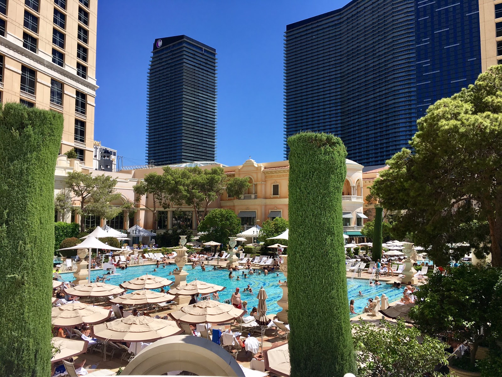 Bellagio Las Vegas Pool
