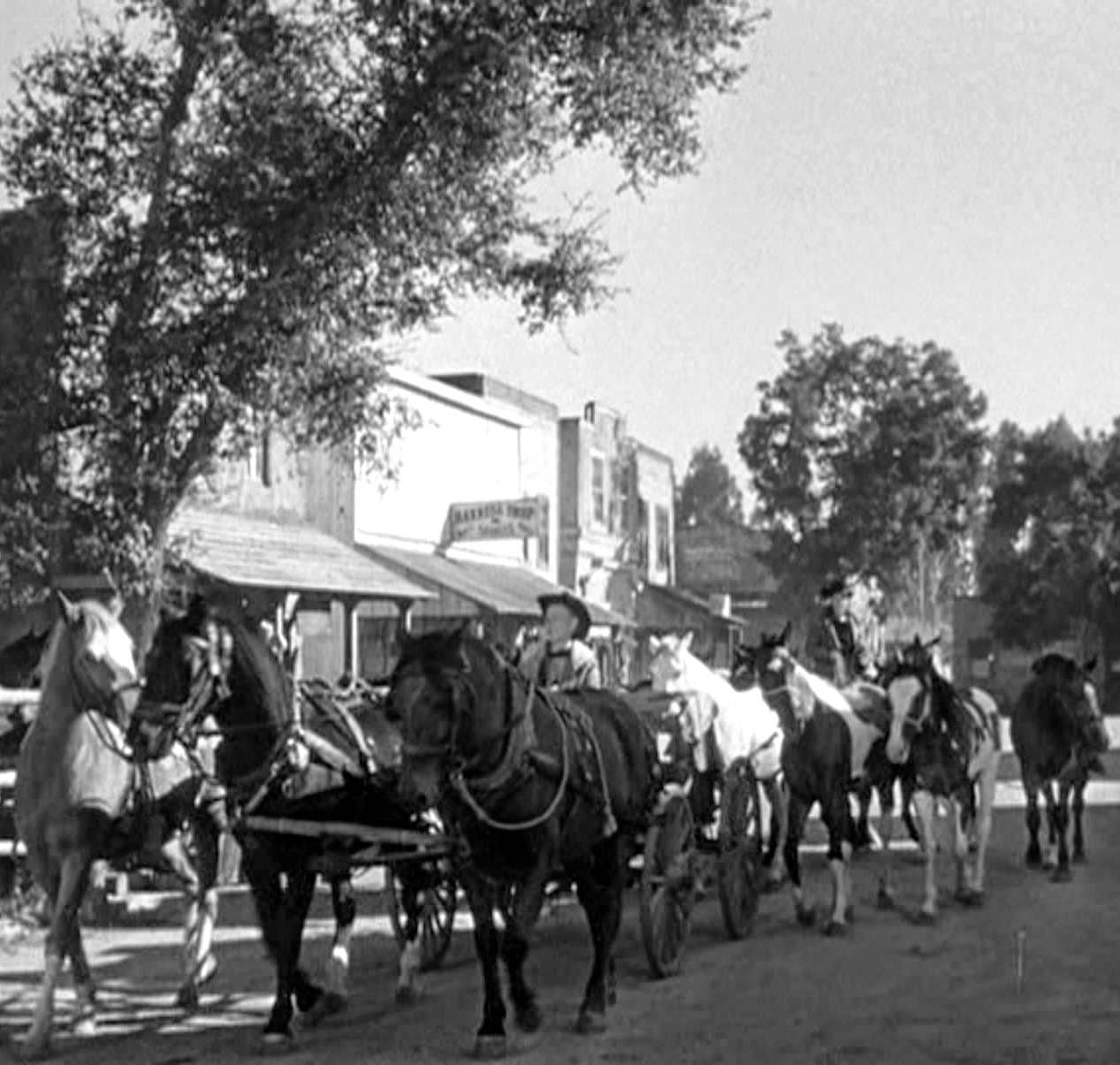 21 Essays Wagon Master's Promised Land