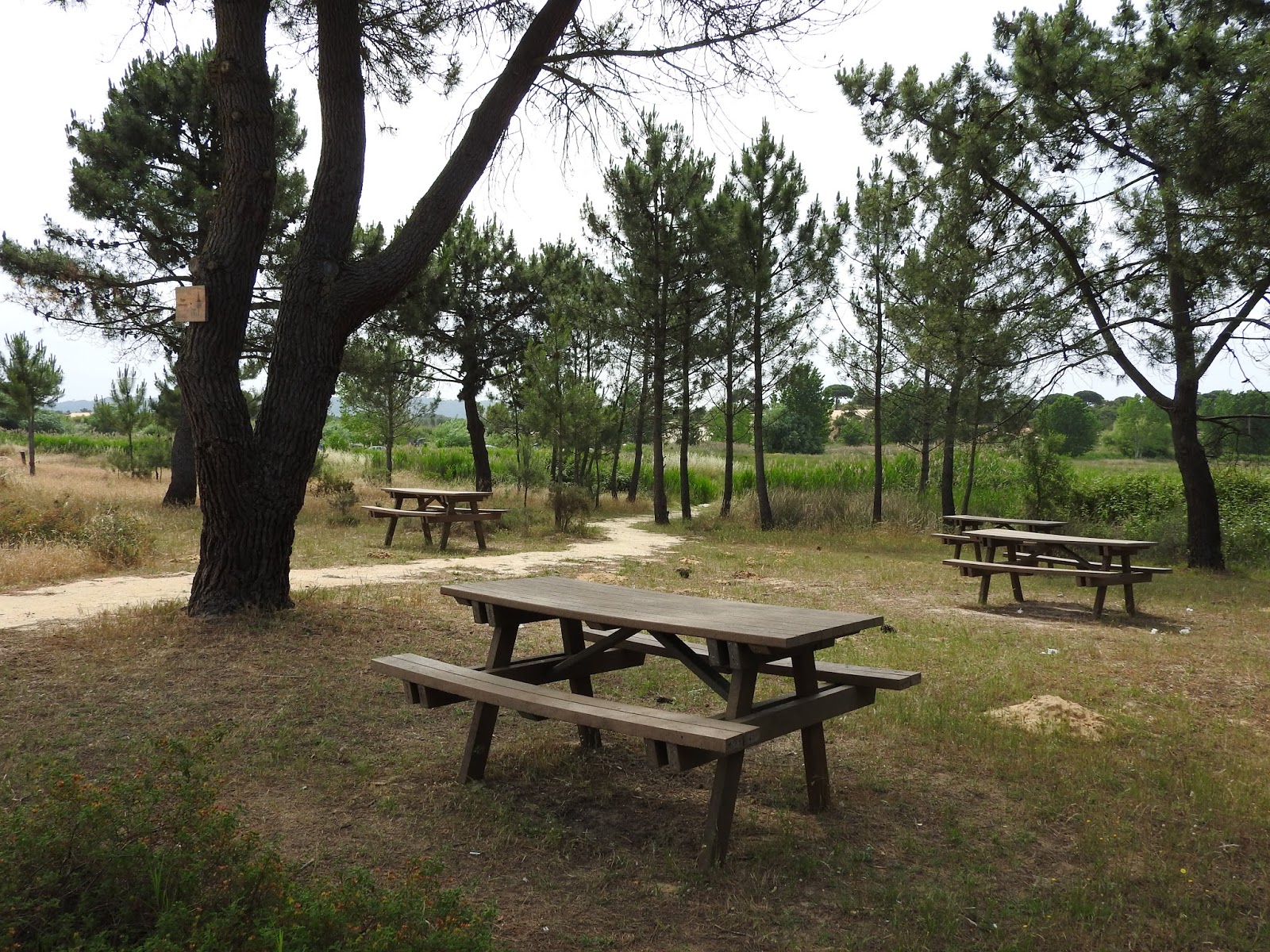 Picnikar Parque da Várzea (Quinta do Conde Sesimbra)