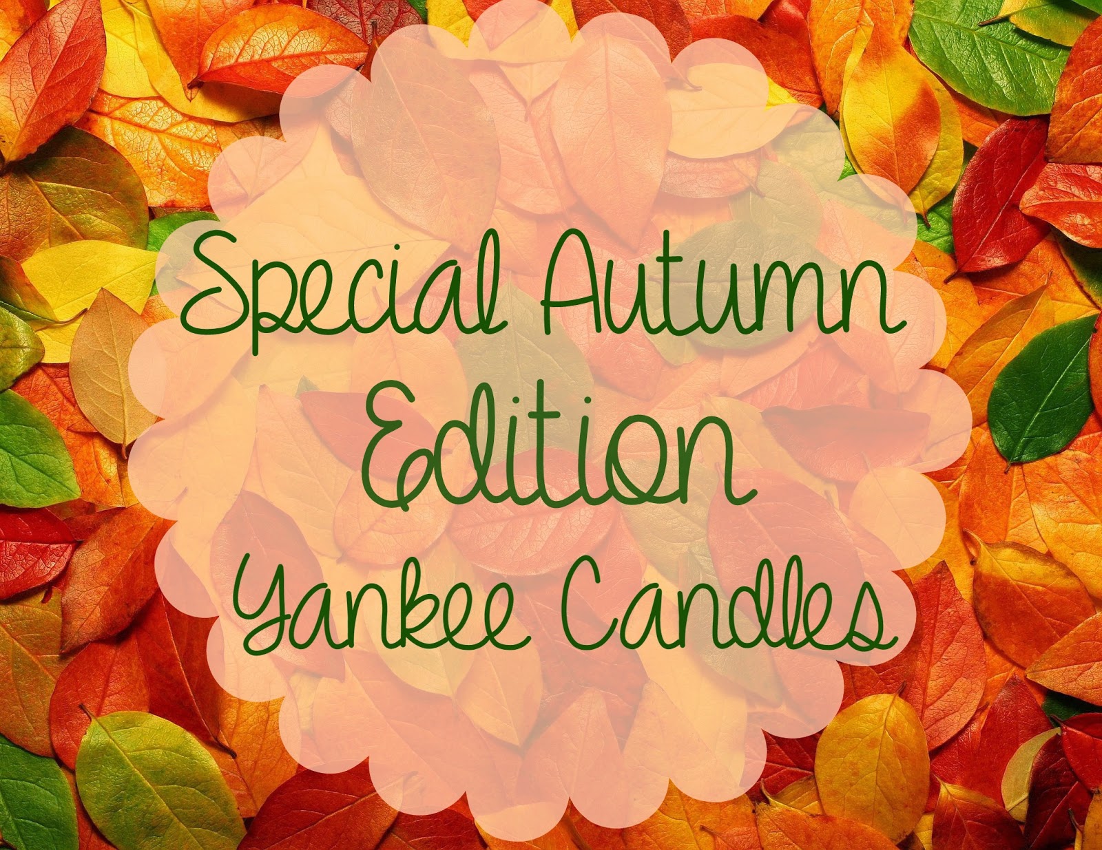Yankee Candle // Special Autumn Edition Candles Sweet Elyse
