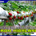 4 Tips Berjimat Jika Melancong ke Cameron Highlands