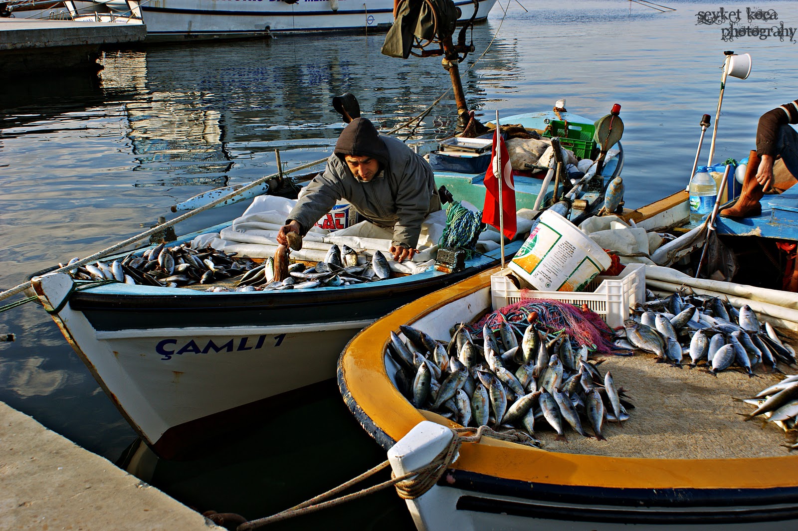 Рыбодобывающая промышленность. Право рыболовство. Право рыболовство. Рыбный промысел в мурманский рыбный порт. Право рыболовство.