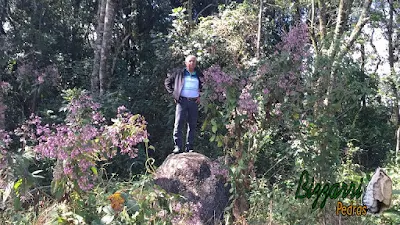 Bizzarri visitando um terreno em condomínio com 14 mil m² onde vamos criar um projeto para a construção da casa com piscina semi olímpica, deck de madeira, pergolado de madeira, lago de carpas, caminhos de pedra, muros de pedra com execução da churrasqueira, pista de cooper, um lugar encantador que temos que usar muito a imaginação para preservar o máximo de mata nativa. Observando encontrei uma área vazia de 3 mil m² onde vamos projetar toda essa obra. Em meu início de aprendizado tive o privilégio de trabalhar com os irmãos Bobadilha em como construir obra preservando a natureza na construção do Atibaia Clube da Montanha, um clube construído há quase 60 anos que hoje é um lugar com muitas matas preservadas em função de como a obra foi realizada. Quem puder ter o privilégio de visitar ou visite o blog http://bizzarripedras.blogspot.com.br/2015/11/atibaia-clube-da-montanha.html. 23 de agosto de 2016.