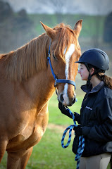 Dakota, happily owned by Sarah Parmeter