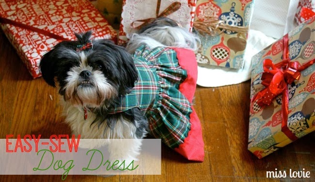 Shih tzu dress patterns Clearance
