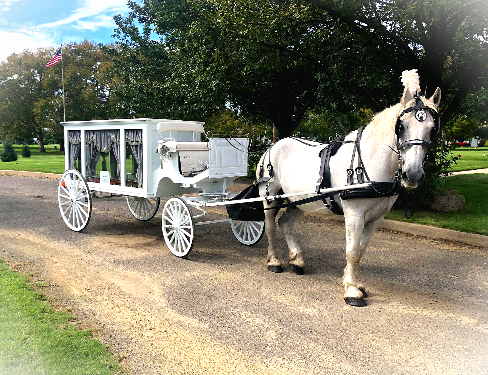 Dream Horse Carriage Company: Horse Drawn Funeral New JerseyDream Horse