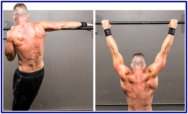 Cuerpo Ectomorfo Rutina Ectomorfos Gym Endomorfo Rutina Ectomorfo