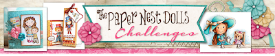 The Paper Nest Dolls Challenge Blog
