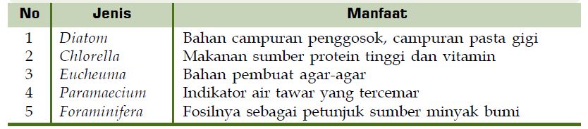 Peranan Protista Mirip Hewan Dan Jamur Dalam Kehidupan Materiedukasi Com