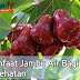 Sejuta Manfaat Jambu Air: Jus Keberanian Untuk Kesehatan Dan Kecantikan