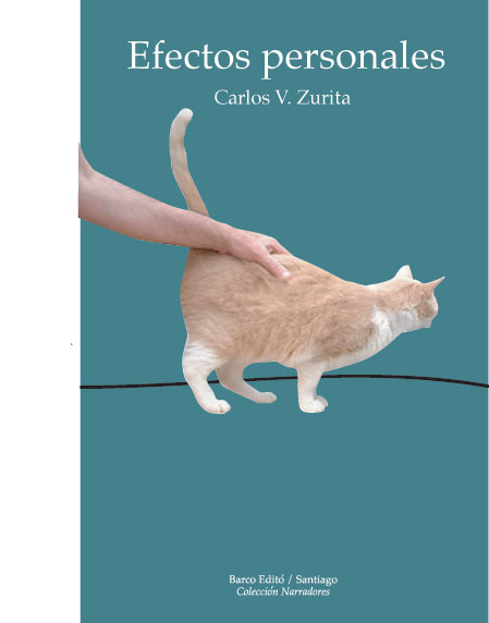 Efectos personales con gato